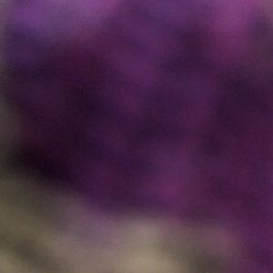 Meet your Posher, Mone